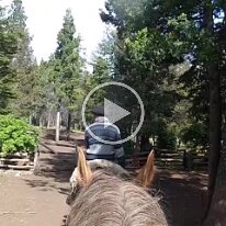 calbacatas_sur_de_bariloche 23/11/2019 - Vidéo - Un peu long à visionner - cinq minutes - mais nous on ne s'en lasse pas 😊 Vidéo - Five minutes of our three hour ride